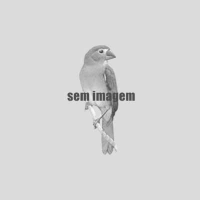 GVN 000133