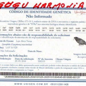 Criadouro Harmonia