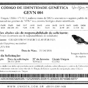 Criadouro Harmonia