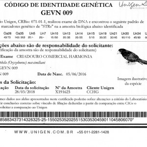 Criadouro Harmonia