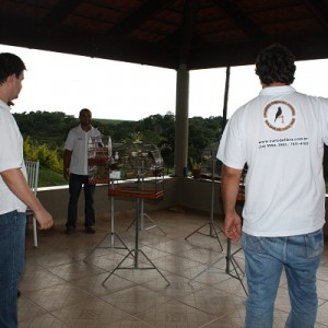 Criadouro Harmonia