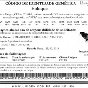 Criadouro Harmonia