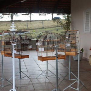 Criadouro Harmonia