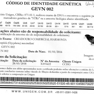 Criadouro Harmonia