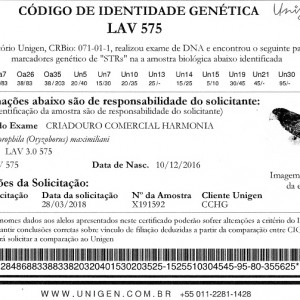 Criadouro Harmonia