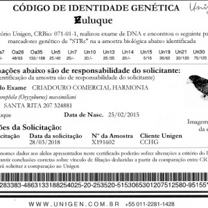 Criadouro Harmonia