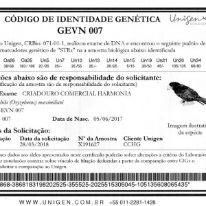 Criadouro Harmonia