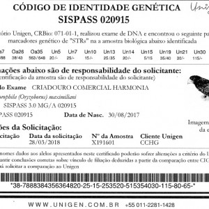 Criadouro Harmonia