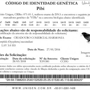 Criadouro Harmonia