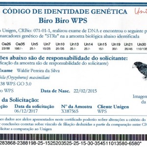 Criadouro Harmonia