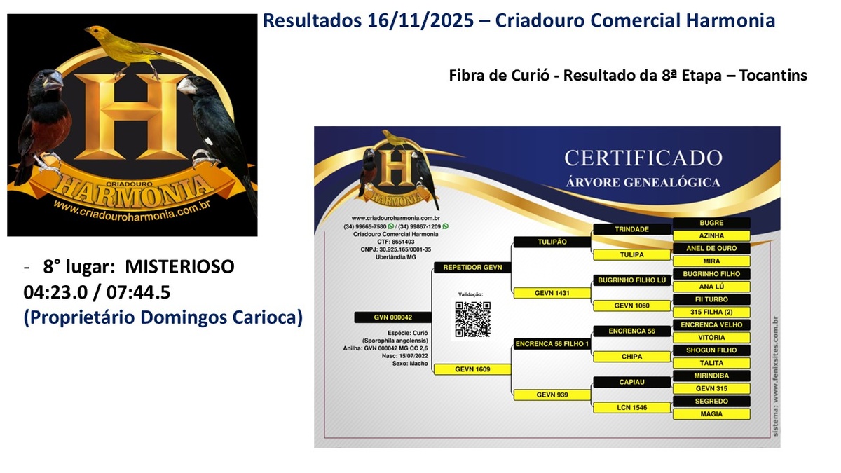 Resultado-Aoto-16-11.jpg (198 KB)