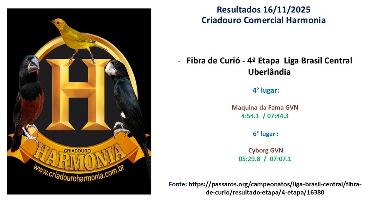 Resultado-Liga-Brasil-Central-16-11.jpg (138 KB)