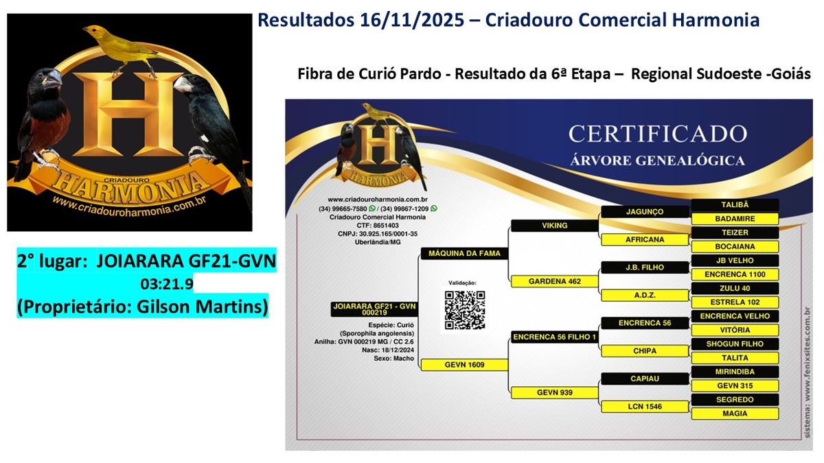 Resultado-Sudoeste-Goiano-16-11.jpg (232 KB)