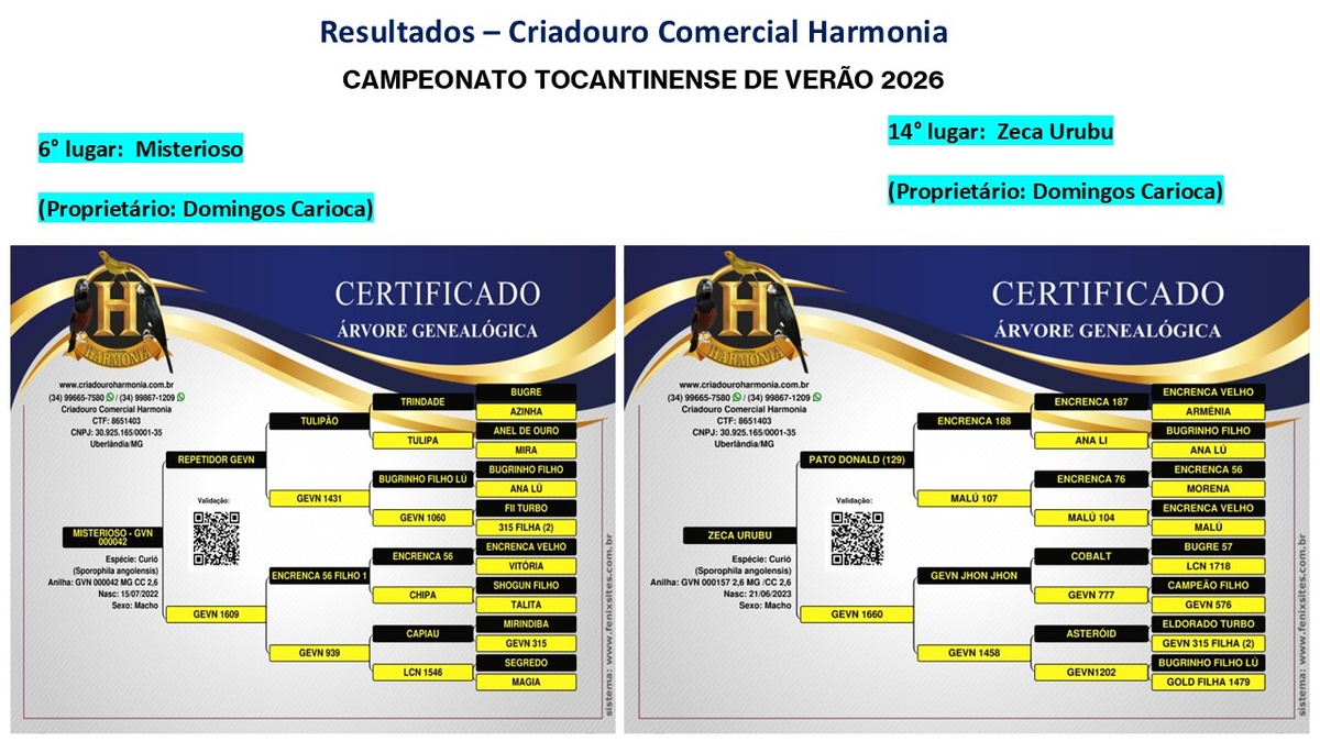 Torneio-de-verao.jpg (254 KB)