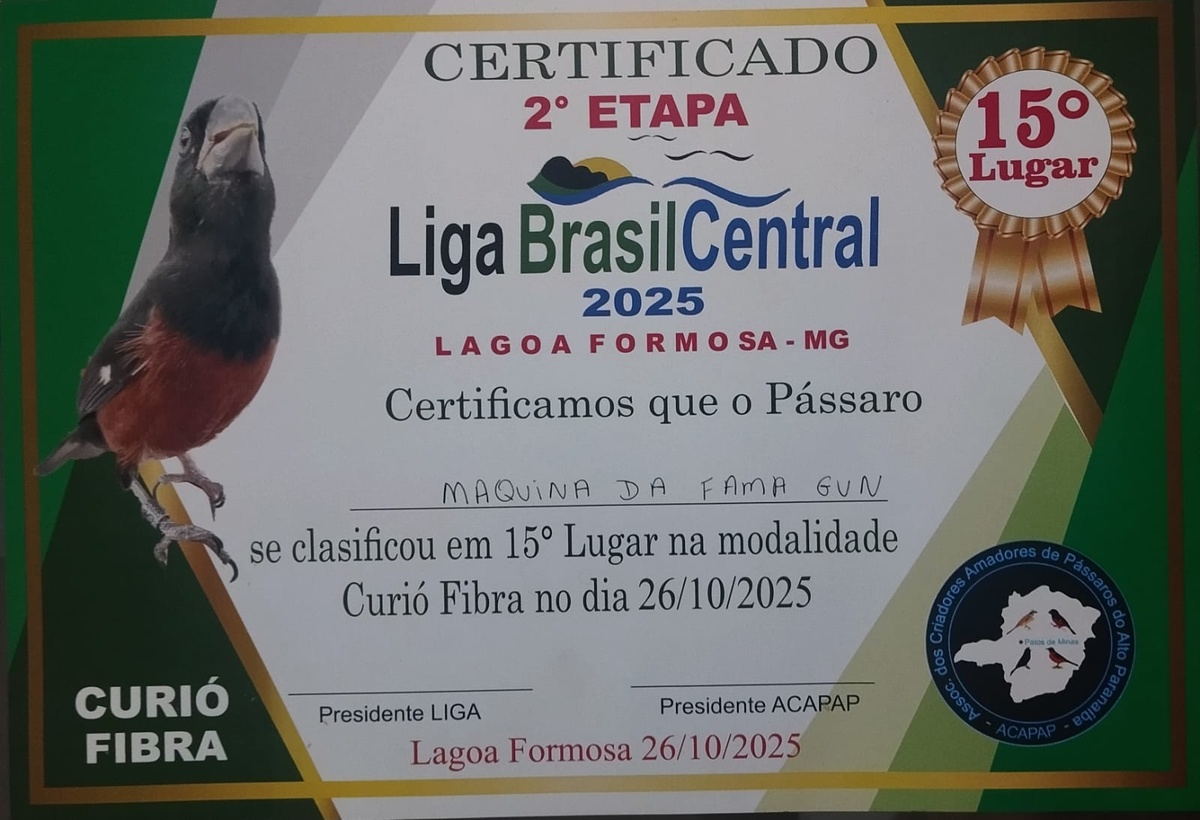 WhatsApp-Image-2025-10-29-at-17-40-35.jpeg (226 KB)