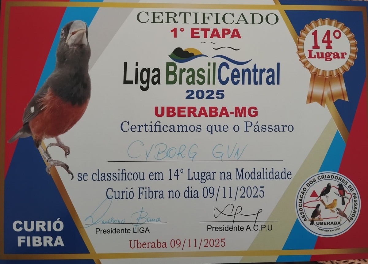 WhatsApp-Image-2025-11-12-at-15-25-26-1.jpeg (236 KB)