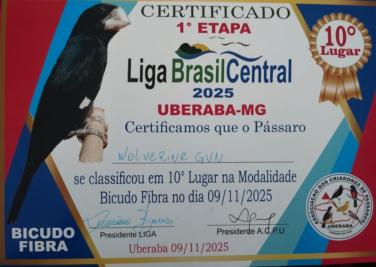 WhatsApp-Image-2025-11-12-at-15-25-26-2.jpeg (254 KB)