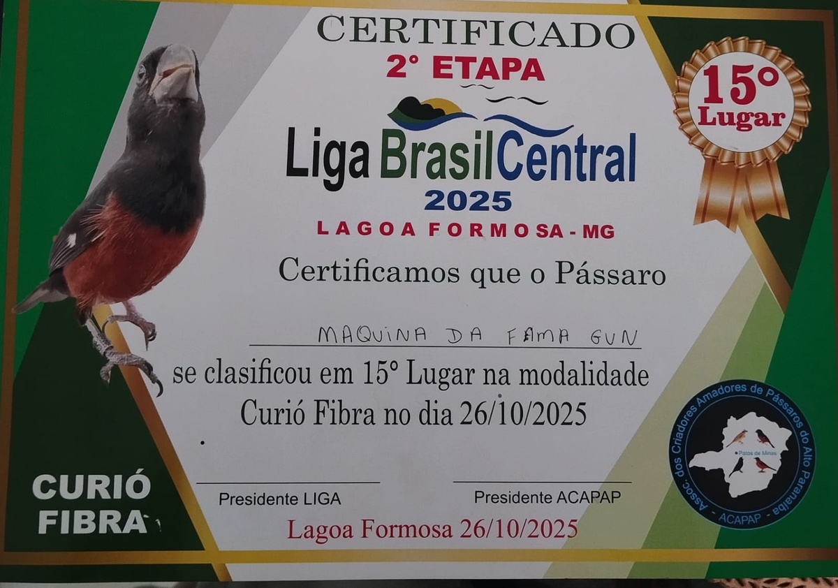 WhatsApp-Image-2025-11-12-at-15-25-26.jpeg (242 KB)